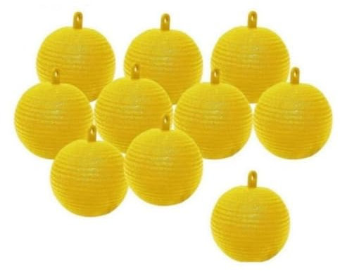 10 Pezzi Trappola for Mosche della Frutta for Frutteto all'aforto a Forma di Palla Appesa Trappola for Mosche della Frutta Esca Bastone Trappole for Insetti Palla for Piante da Cucina for In