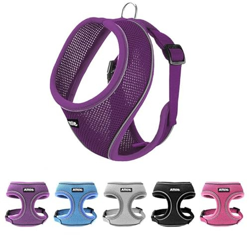 AIITLE Reflektierendes Hundegeschirr, weiches Anti-Zug-Design, atmungsaktives 3-lagiges Netzgewebe für mittelgroße Hunde – passend für Mops, Bichon Frisé (XL,Lila)