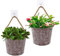 BOFUNX 2 Macetas Pared Maceteros Colgantes de Metal Jardineras Vintages para Colgar Decoración Interior Exterior Balcón Jardín Patio Pared Terraza para Flores y Plantas
