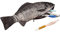 Renywosi Federmäppchen in Fischform,Fisch-Stifttasche Mäppchen | Entzückende Neuheit und niedliches Federmäppchen für Jungen und Mädchen, einzigartige Geschenkidee