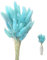 SoeUyd 50 Stück Pampasgras, Pampasgras Deko, Pampasgras Helles Tiffany-Blau Trockenblumenarrangements Wohnzimmer Schlafzimmer Dekoration, Büro Dekoration, Hochzeit Dekoration und DIY Blumen Designs