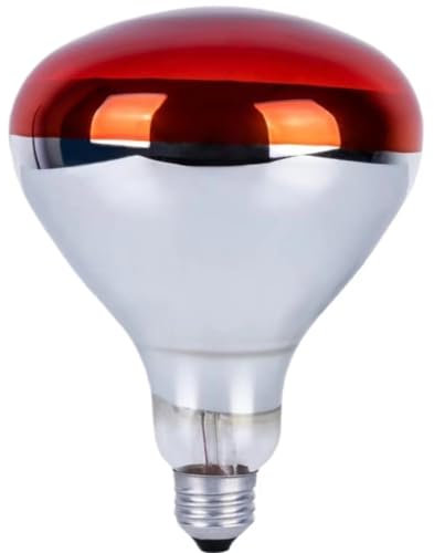 MBMYUCKY Rotlichtlampe Wärmelampe Schildkrötenhaus Infrarotlampe - Wärmeplatte Küken Terrarium Zubehör Chick Rotlicht Vogellampe 250Watt (R125 1Pack)