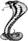 22cmx15cm Cobra Serpente Rettile Vinile Personalità Adesivi per Auto auto Moto Decalcomanie Auto Styling