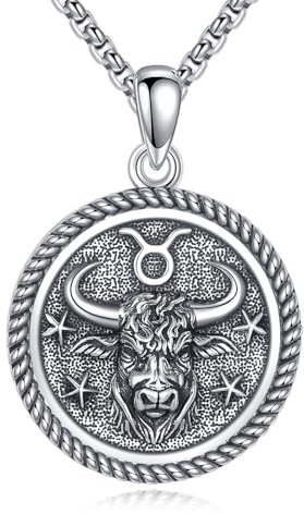 URONE Stier Kette 925 Sterling Silber Stier Anhänger und Kette Sternzeichen Halskette Schmuck Geburtstag Geschenke für Frauen Männer