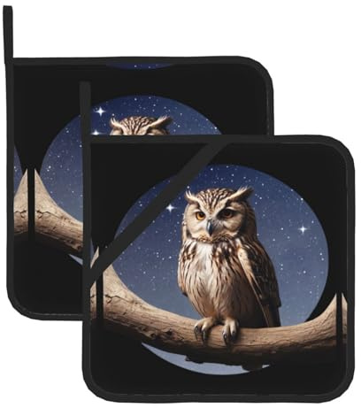 Set di 2 presine lavabili da 20,3 cm x 20,3 cm, motivo: gufo sotto la luna, resistenti al calore, accessori per forno e grill