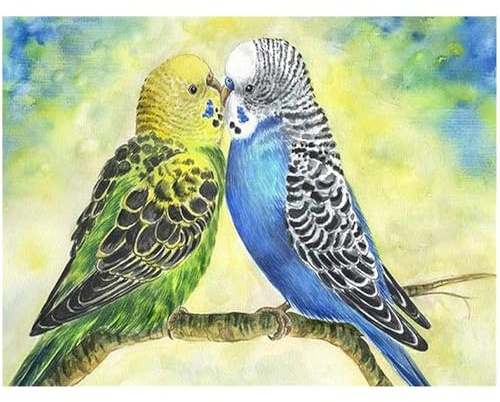 DCIDBEI Square Diamond Painting Papageien 40x30cm Quadratisch 5D Diamant Painting Bilder Papagei Bastelset Erwachsene Erwachsene, Geeignet Anfänger
