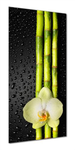 Wallario Selbstklebende Duschrückwand 70 x 200 cm mit Motiv Grüne Orchidee mit Bambus auf schwarz - Regentropfen - Wandverkleidung Fließenersatz mit Hochglanzlaminat in Glasoptik