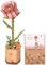 ROWOOD 3D Puzzle Pinke Rose, DIY-Blume Aus Holz, Modellbausätze Für Künstliche Blumen Zum Zusammenbauen Für Erwachsene, Beste Heimdekoration Und Valentinstags-Spielzeug-Geschenkset