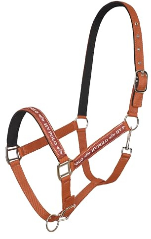HV Polo