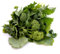 Viridis Hortus - Broccoli Raab (Cime di rapa) - 5,000 (6.71g's) Vegetable Seeds - Broccoli Rapini