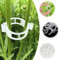 Tyqour Lot de 100 clips pour plantes grimpantes, supports transparents pour plantes d'intérieur, clips de jardin réutilisables, clips de support de plantes en plastique, accessoires de plantes pour