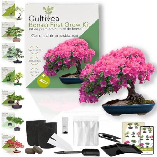 CULTIVEA® Kit First Bonsai- Kit de première culture de Bonsaï – Prêt à Pousser avec Graines & Accessoires – Idée Cadeau Jardinage | Made In France (Cercis Chinensis)