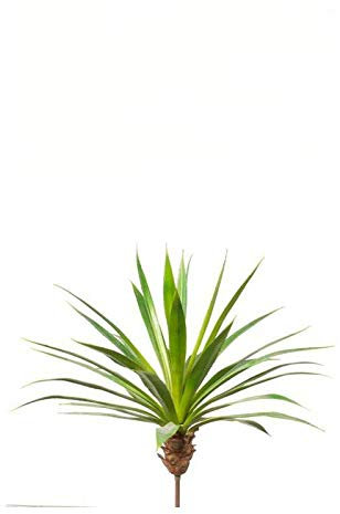 artplants.de Künstliche Sukkulente Agave EUSTACHIO auf Steckstab, grün, 55cm - Plastik Agave