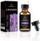 Olio essenziale di lavanda biologica - 100% puro, naturale, non OGM, grado terapeutico per diffusore di aromaterapia - Contagocce in vetro premium (60ml)