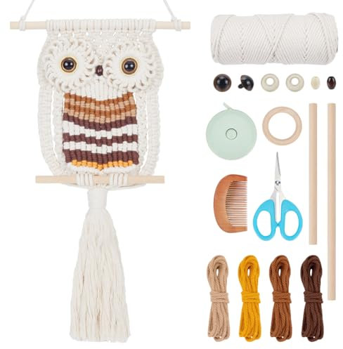 FREEBLOSS Eule Makramee Wandbehang Kit DIY Eule Tapisserie Eule Kunst und Handwerk Kit Gewebtes Boho Ornament für Schlafzimmer Anfänger Makramee Kit mit Anleitung Eule Wanddekoration für Büro
