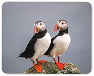 Destination Vinyl Ltd Puffin Bird Pair Mouse Mat Pad - Pelagic Sea Birds Computer #14150