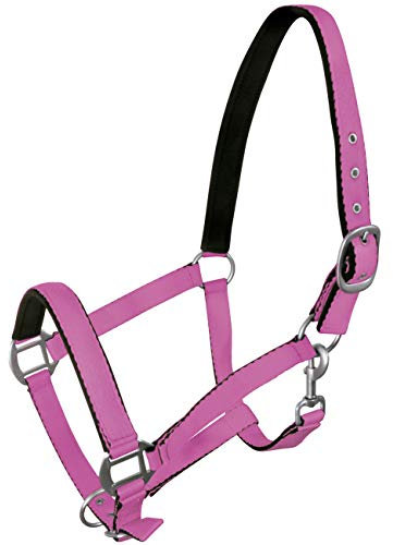 York Pferde Halfter Fluo weich unterlegt Stallhalfter Weidehalfter Reithalfter (Pony, Hellviolett)