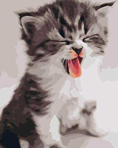 Peinture par Numéro, Chat Numero D'art Adulte Peinture,Enfants,Débutant, Kit de Peinture par numéro à Faire soi-même Décoration d’intérieur 40 * 50 cm (sans Cadre)