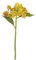 Express Flor 12 hortensias Artificiales de Seda, de 33cm Amarillo