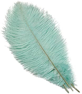 10 Stück 25-30cm Natürliche Straußenfedern,Strauß Feder zum Basteln,Bastel Federn für DIY Traumfänger Zubehör,Heimdekoration,KostüMe,Tischdeko Hochzeit Party Fest Hüte Kleidung Dekoration,Minzgrün