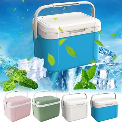 SOYDAN Tragbare 5-Liter-Camping-Kühlbox – Lunchbox mit hartem Eisspeicher – tragbare kleine isolierte Kühlbox mit 6 selbstansaugenden Kühlakkus/261 (Color : Blue)