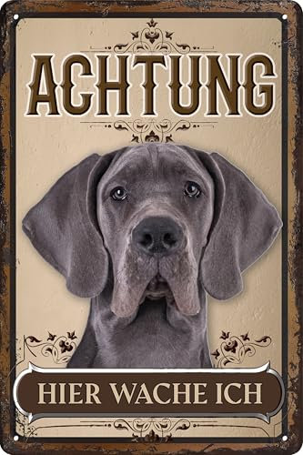 30 x 20 cm wetterfestes Blechschild, Warnhinweis, Torschild, Achtung, hier Wache ich! Warnung vor dem Hund (Deutsche Dogge 1)