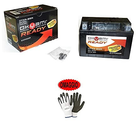 Kompatibel mit Honda FMX 650 650 2005-2006 Batterie OkYAMI bereits gebrauchsfertig OTX 9-BSR geladen versiegelt in Fabrik 8 Ah Birnen 12 Volt 150 x 87 x 105 mm