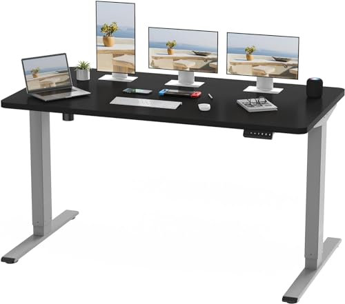 FLEXISPOT 160x80cm Electric Standing Desk Height Adjustable Desk ONE PIECE Sit Stand Desk Stand Up Desk with Memory Smart Pannel (Silver Frame+Black Desktop)