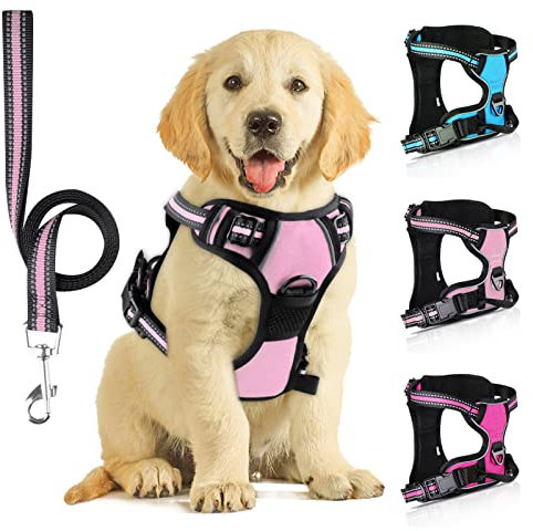 SIBOTER Hundegeschirr mit Hundeleine, Reflektierendes Hundegeschirr Kleine Hunde, mit Einfache Kontrolle Griff und Rückseite perfekt für Spaziergänge im Freien (Rosa, L)