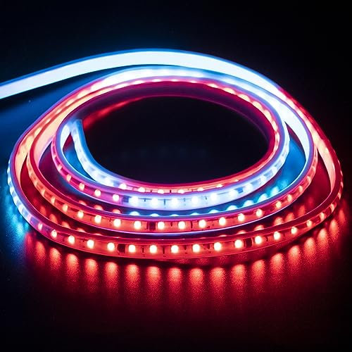 Ruban LED RGB Exterieur 10M 220V Multicolore Cordon Lumineux sans Transformateur IP67 Etanche Bandeau Strip Light, 10 Metre SMD 5050 Dream Color Running LED Strips (10m, RGB)