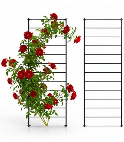 Relaxdays Rankgitter, 2er Set, Wandgitter HxB: 210 x 76 cm, Kletterpflanzen Rankhilfe, Wandbefestigung, Stahl, schwarz