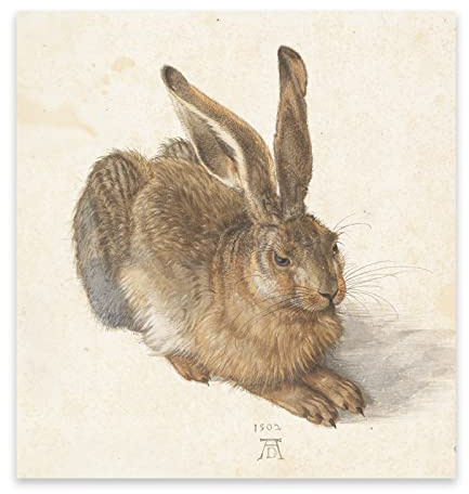 Albrecht Durer Kunstdruck-Poster - Junger Hase – Kunst Leinwand Wandkunst Dekor für Wohnzimmer Schlafzimmer – ungerahmt (30 x 30 cm)