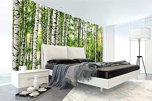 Vlies Fototapete BIRKENWALD 375 x 250 cm (inkl. Kleister) - Vlies Tapete, Wandtapete, Wandbilder - Tapete für Wohnzimmer Schlafzimmer, Büro, Küche - Montagefertig