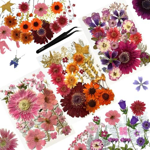 Huimai 175 Stück Trockenpressen-Blumen-Set, Natürliche Getrocknete Blumen für Epoxidharz Deko Zubehör,Trockenblumen Basteln,DIY Kerzen,Seife,Anhänger,Lesezeichen und Kartenherstellung (175)