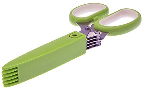 Office Paper Cut Schredder Schere Edelstahl 5 Klinge Kräuterschere Küche Werkzeug Grün