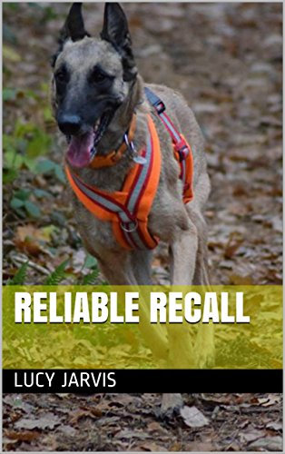 Reliable Recall (English Edition)