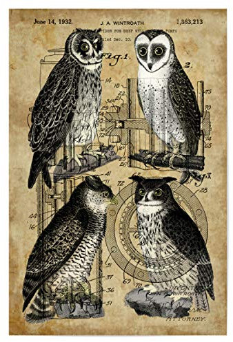 artboxONE Poster 30x20 cm Tiere Eulen hochwertiger Design Kunstdruck - Bild eulen Eule eulen