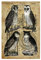 artboxONE Poster 30x20 cm Tiere Eulen hochwertiger Design Kunstdruck - Bild eulen Eule eulen