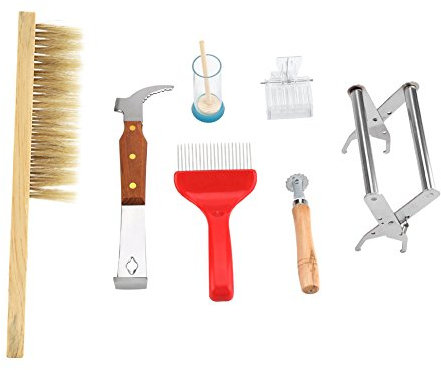 Set von 7 PC -Appizierwerkzeugen, Bienenbürste Queen Markierungskäfig Gabel zum Aufstehen Königinfänger Unterstützung für Bienenstock und Bienenzubehör professionelle Kit Bienenzucht Tools