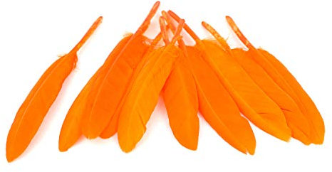 10 Indianerfedern ca. 10-15cm (orange 668) // Dekofedern Bastelfedern Masken Federn Schmuckfedern Vogelfedern