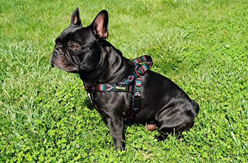 Norwegergeschirr Schwarz Indianer-Muster Gr.S-M Französische Bulldogge