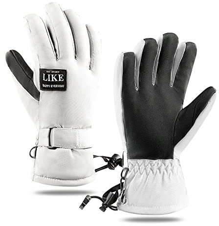 LAMOOER Thermo Handschuhe Touchscreen Ski Handschuhe für Damen Herren Wasserdicht & Winddicht Winter Warme Handschuhe zum Skifahren Laufen Radfahren Wandern Wandern Gehen