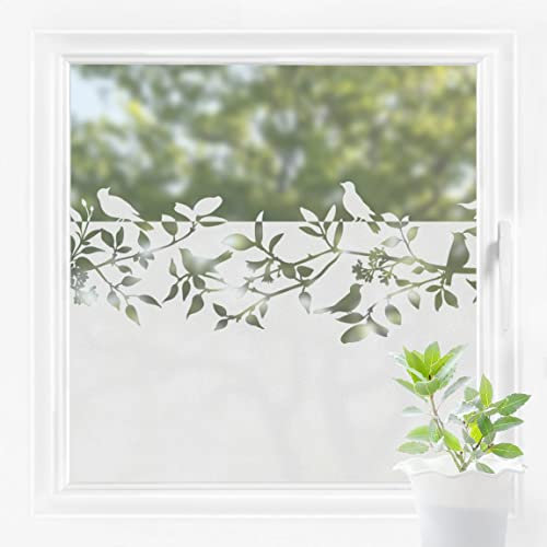 Bilderwelten Fensterfolie Sichtschutz Vögel Äste 60 x 80 cm Milchglasfolie Sichtschutzfolie Fenster Folie Blickdicht Anti-UV Statisch Haftend Querformat