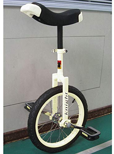 Wheel Trainer Einrad 20/24 Zoll Einräder für Erwachsene, Big Wheel Einräder weiß, Uni Cycle, Einradfahrrad für Männer, Frauen, Teenager, Jungen, Fahrer, bestes Geburtstagsgeschenk (weißes 24-Zol