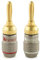 Nakamichi FanLock Excel-Serie 24 Karat vergoldeter Bananenstecker, 10 AWG – 18 AWG, 4 mm Dicke für Lautsprecherverstärker, Hi-Fi Stereo Heimkino Audiokabel Schnellanschluss, 2 Stück (1-Paar)