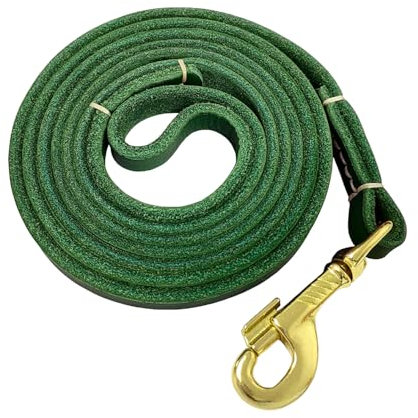 LWBMG Hundeleine aus Leder für kleine Hunde, 1,8 m, robuste Haustierleine, weiches Echtleder, Leine für kleine und mittelgroße Hunde (1,27 cm x 1,8 m, Grün)