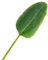 artplants.de Feuille de bananier Artificielle Yumi, 95cm - Feuillage Artificiel - Grande Feuille Verte Artificielle