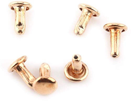 Leder Nieten Set, 100 Satz 6 × 8mm Tubular Metall Hohlnieten Kit für Leder Handwerk, Dekoration, DIY, Tasche, Schuhe Reparaturen(Gold)