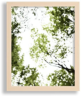 VO design Finn Premium Bilderrahmen Posterrahmen 20x40 cm Ahorn Dekor wie Birke Dekor 40x20 cm mit weisser Rückwand und Antireflex Acrylglas