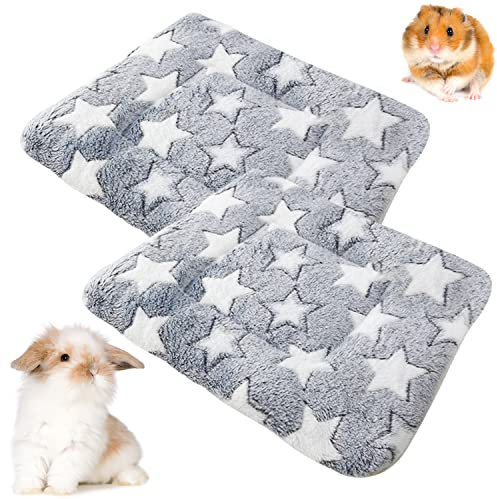 Barley Ears 2 Stück Plüschbett für Kleine Tiere, Winter Warm Flauschige Flanell Fleecedecke Bettmatte für Kätzchen, Kaninchen, Chinchilla, Eichhörnchen, Meerschweinchen (Grau: 34 x 28 cm)